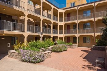 Courtyard 